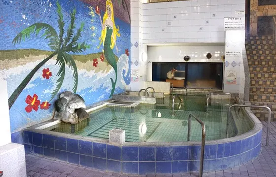 Aqua Dolphin Land, Tokyo