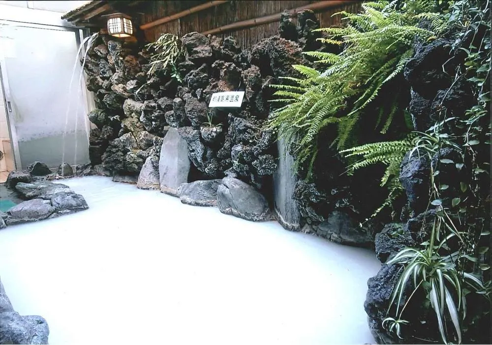 Kenko Land Suehiro-yu, Tokyo