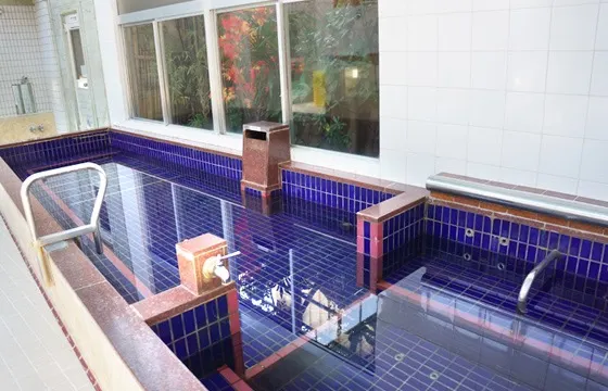 Kotobuki-yu, Tokyo